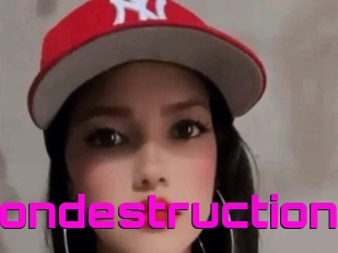 Partydemondestruction
