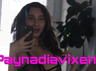 Paynadiavixen
