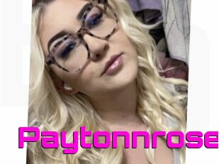 Paytonnrose