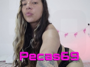 Pecas69