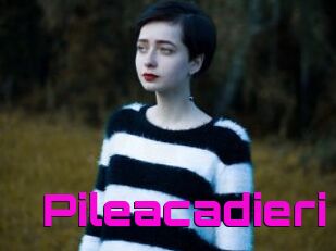 Pileacadieri