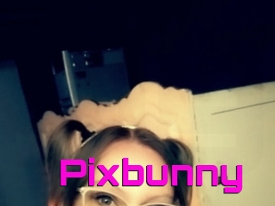 Pixbunny