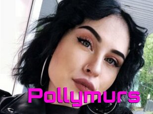Pollymurs