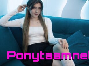 Ponytaamnel