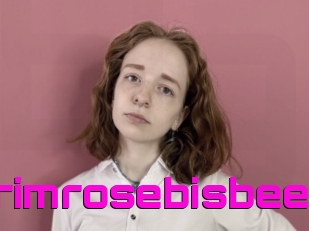 Primrosebisbee