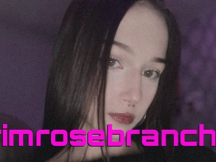 Primrosebranch