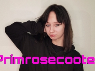 Primrosecoote