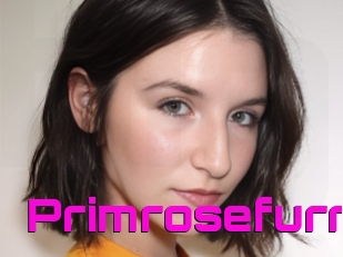 Primrosefurr