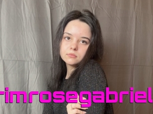 Primrosegabriel
