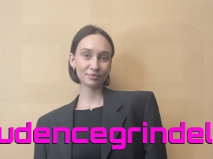 Prudencegrindel