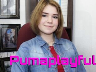 Pumaplayful