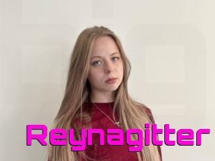 Reynagitter