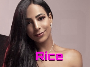 Rice