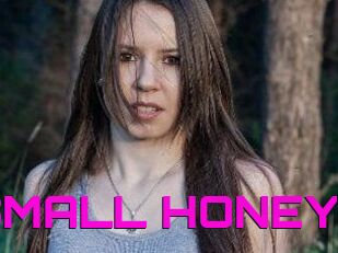 SMALL_HONEY