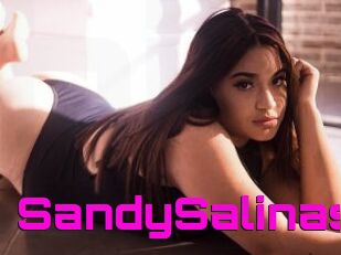 SandySalinas