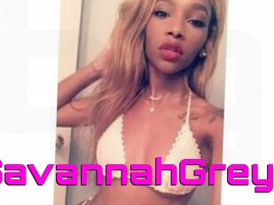 Savannah_Grey
