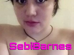 Sebi_Barnes