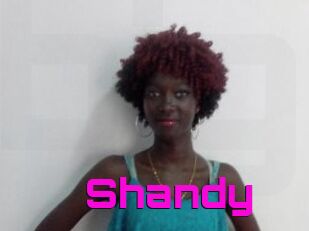 Shandy