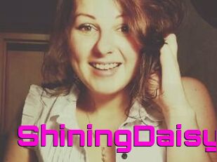 ShiningDaisy