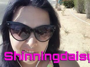 Shinningdaisy