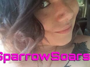 SparrowSoars