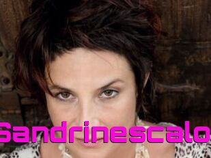 Sandrinescalo