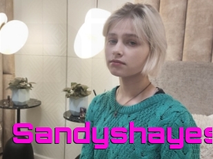 Sandyshayes