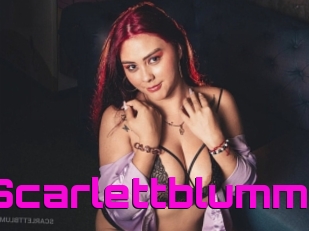 Scarlettblumm