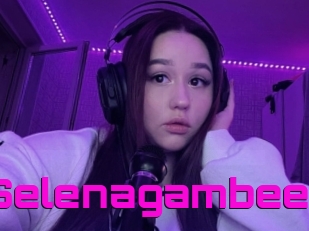 Selenagambee