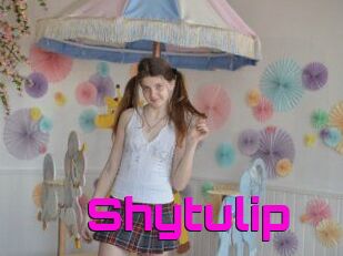 Shytulip