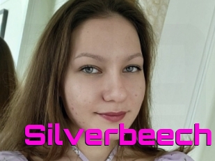 Silverbeech