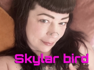Skylar_bird