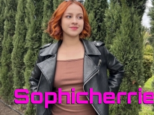Sophicherrie