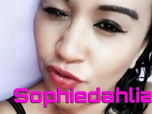 Sophiedahlia