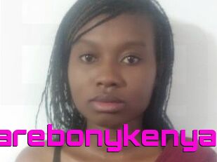 Sugarebonykenya