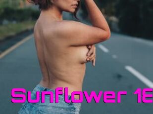 Sunflower_18