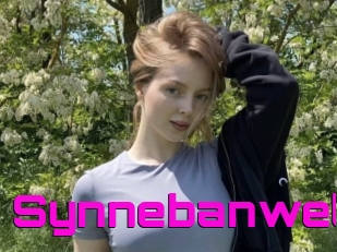 Synnebanwell
