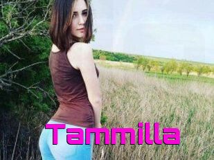 Tammilla_