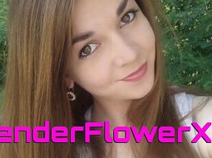 TenderFlowerX