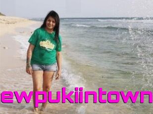 Thenewpukiintown