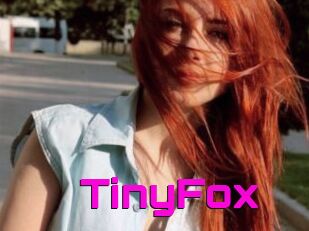 TinyFox