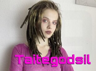 Taitegodsil