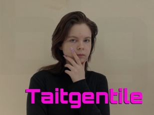 Taitgentile
