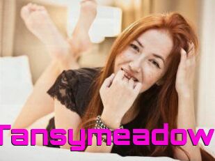 Tansymeadow