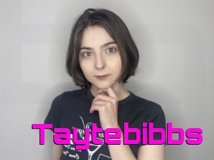 Taytebibbs