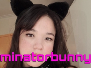 Terminatorbunny