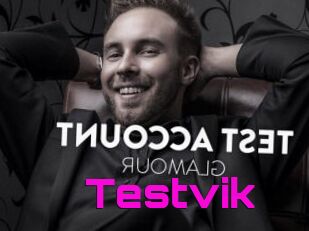 Testvik