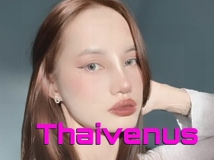 Thaivenus