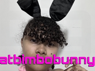 Thatbimbobunny