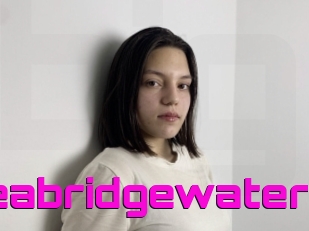 Theabridgewater